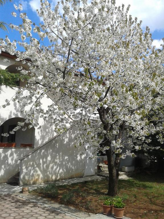 Apartments Porec Istria By Nina Ngoại thất bức ảnh